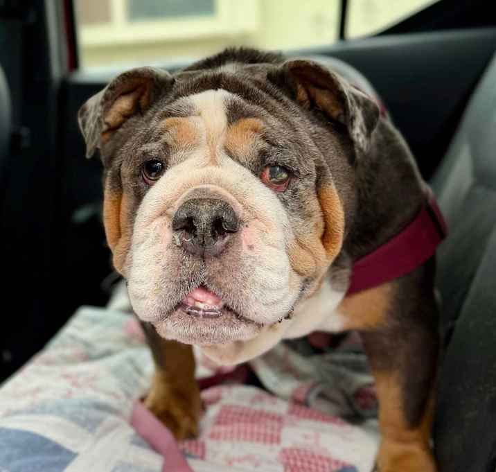 Peggy Potamus photo 3