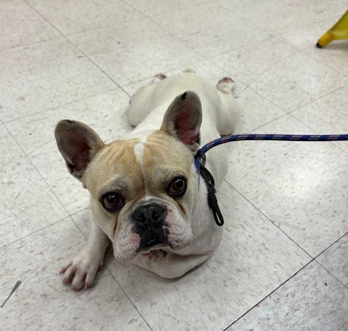 Clyde photo 1